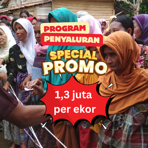 Qurban Salur 1,3 juta